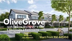 Ipoh Olive Grove 20’x75’
